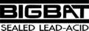 logo BIGBAT
